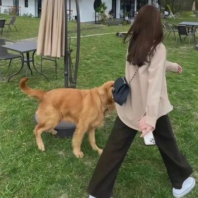 新生代黑社会